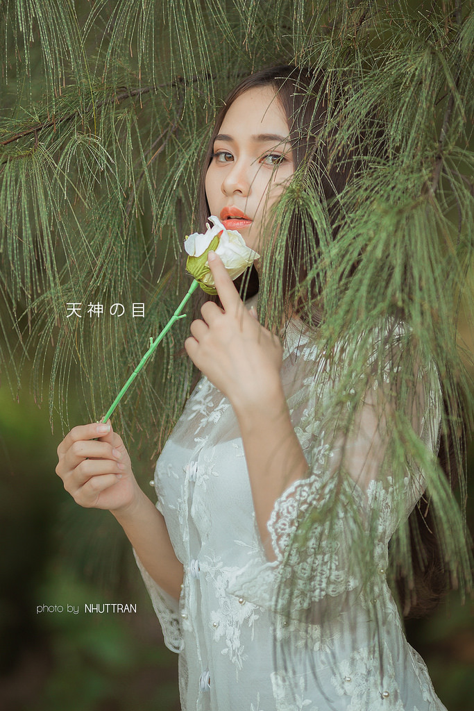 胡桃大戰(zhàn)史萊姆免費網(wǎng)頁版