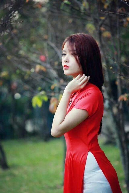 金剛大戰(zhàn)哥斯拉2帝國崛起免費觀看
